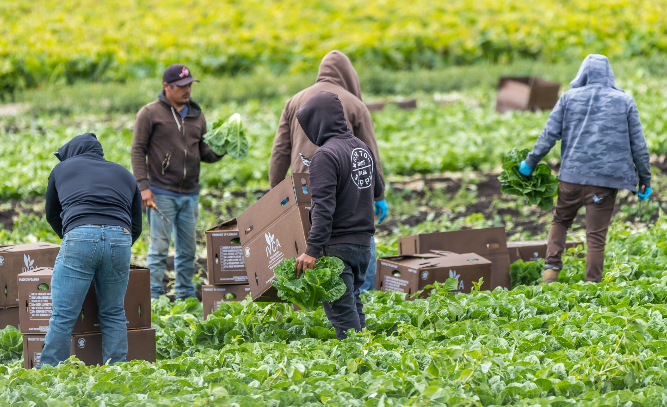 Temporary Foreign Workers: Canadians support reduced program; few want workers to have path to citizenship –